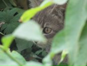 Фотография Корсаковой Ольги