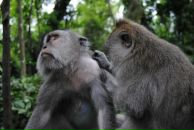 Фотография Уткиной Ксении