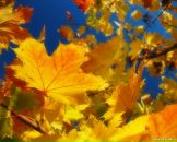 Фотография Баймухамедовой Алтын