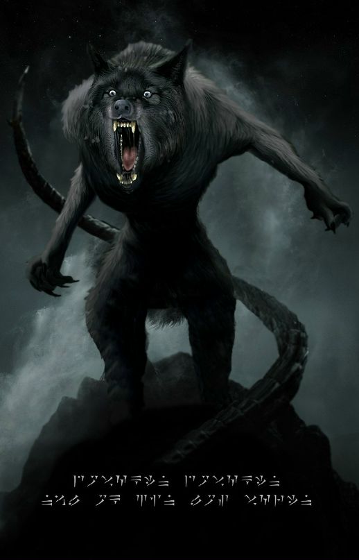 Wolf Wild фотография #17