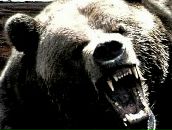 Max Max фотография #23 (источник - https://vk.com/id808369)