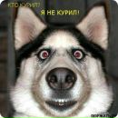 Евгеній Сидорець фотография #45 (источник - https://vk.com/id164315019)