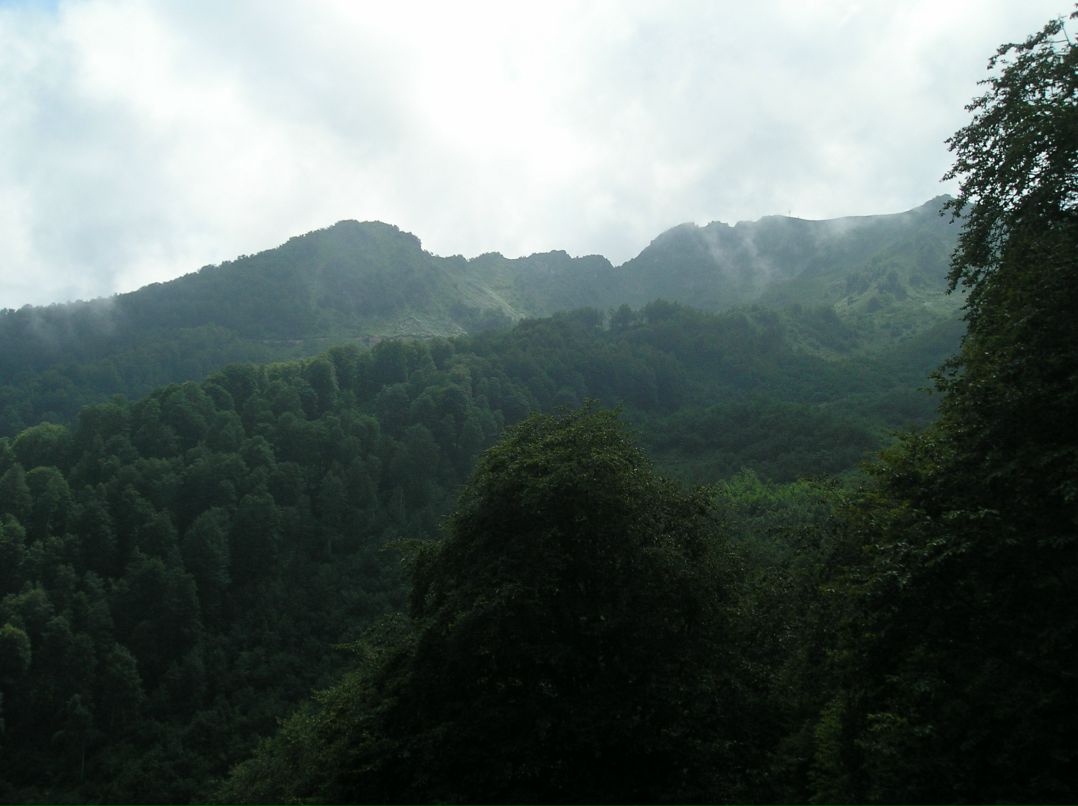 Николай Крючков фотография #39