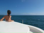 Фотография Бондаренко Николай