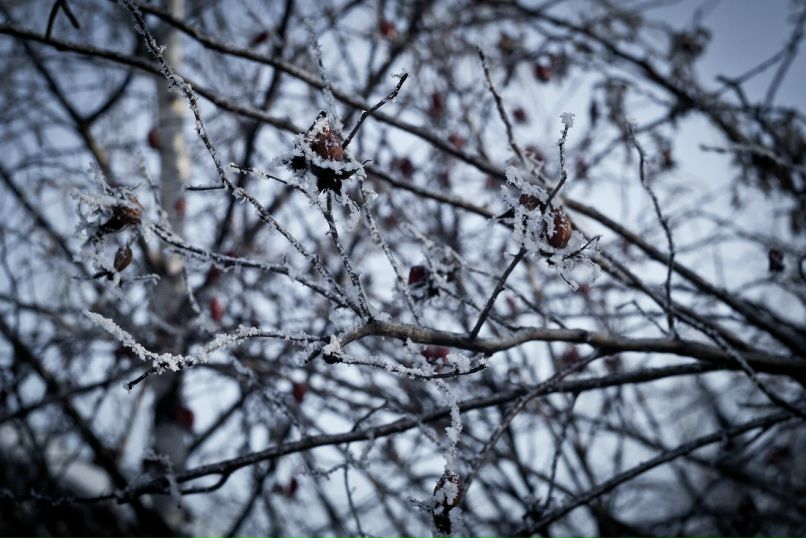 Антон Девяткин фотография #27