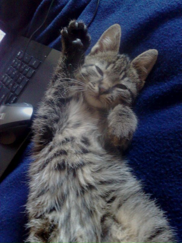 Ksenya Demchenko фотография #47