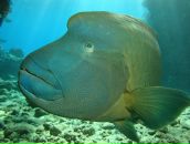 Фотография Сагач Татьяны