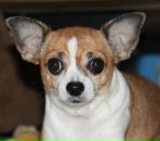 Фотография Ландаш Алёны