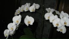 Юлия Дьякова фотография #30 (источник - https://vk.com/id1002634)