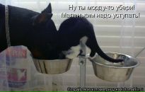 Расуль Садыков фотография #1