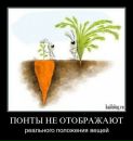 Сергій Нагорний фотография #49 (источник - https://vk.com/id102821058)