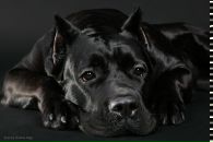 Фотография Молодцовой Марии