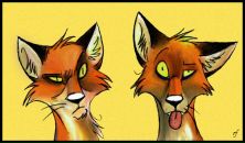 Фотография Катковой Ярославы