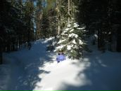 Фотография Софроновой Надежды