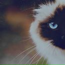 Фотография Евсеевой Алёны