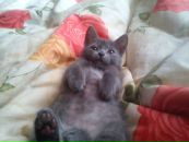 Фотография Федосеевой Александры