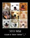 Фотография Шуплецовой Юлии