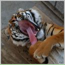 Фотография Поляниной Екатерины