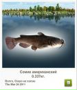 Василь Базилів фотография #23 (источник - https://vk.com/id118254948)