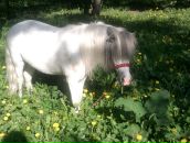 Фотография Гореловой Марии