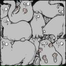 Фотография Старцевой Алины