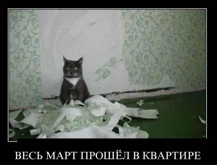 Дима Swip фото №29