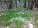 Мария Черненко фотография #23 (источник - https://vk.com/id1372515)