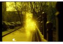 Леонид Липелис фотография #44 (источник - https://vk.com/id8154085)