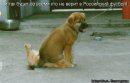 Викуська ****** фотография #2 (источник - https://vk.com/id119869)