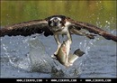 Діма Савін фотография #6 (источник - https://vk.com/id155251126)