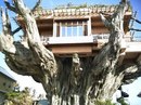 Вікторія Роман фотография #32 (источник - https://vk.com/id156211517)