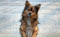 Фотография Егоровны Марии