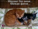 Фотография Перевезенцевой Юлии