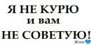 Андрій Штефан фотография #22 (источник - https://vk.com/id164643276)
