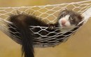 Виталий Куница фотография #8 (источник - https://vk.com/id63973183)