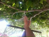 Фотография Сырбу Максима