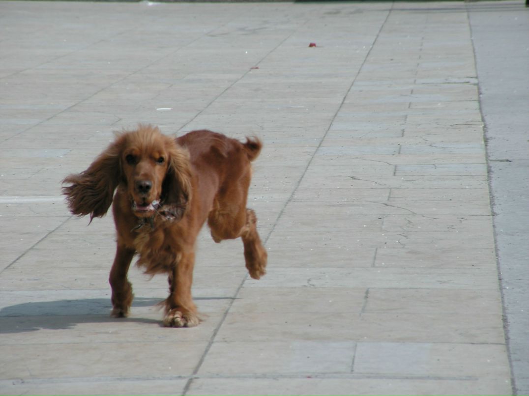 Антон Киселёв фотография #37