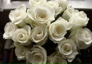 Марічка Росоловська фотография #2 (источник - https://vk.com/id184254267)