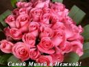 Ірина Каспрук фотография #36 (источник - https://vk.com/id159345337)