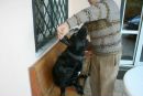 Анастасія Котис фотография #11 (источник - https://vk.com/id135684459)