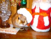 Фотография Иванова Димы