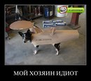 Деня Зінчук фотография #10 (источник - https://vk.com/id152911018)