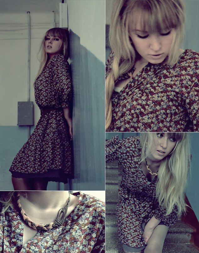 Vl Adi фотография #26