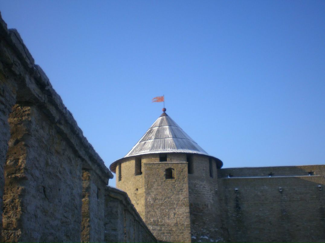 Светлана Линчевская фотография #18