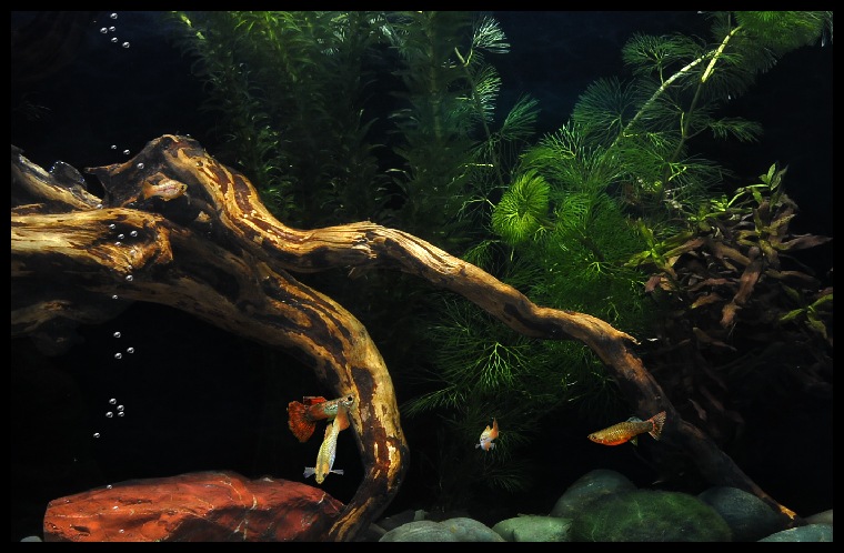 Евген Печенкин фотография #5