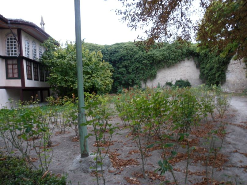 Илюша Сетяев фотография #22