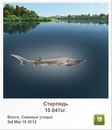 Тарас Гуржій фотография #9 (источник - https://vk.com/id156001958)