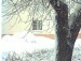 Ребекка Сабатіні фотография #10 (источник - https://vk.com/id139026115)