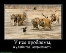 Пенсійне Забезпечення фотография #14 (источник - https://vk.com/id170342310)