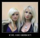 Владимир Поляков фотография #48 (источник - https://vk.com/id6948272)